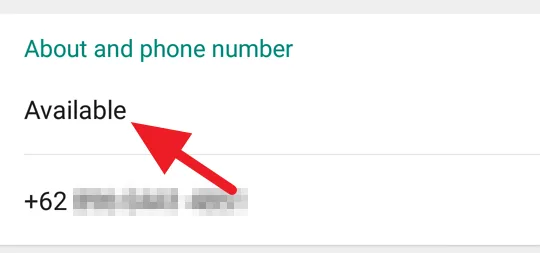 3 Cara Membuat WhatsApp Terlihat Offline Padahal Sedang Online 16 Status Offline WhatsApp