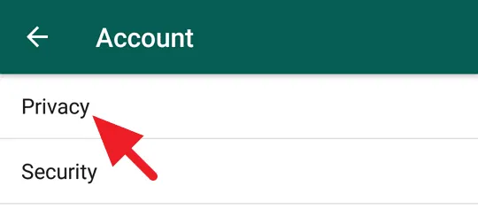 3 Cara Membuat WhatsApp Terlihat Offline Padahal Sedang Online 6 WhatsApp Terlihat Offline