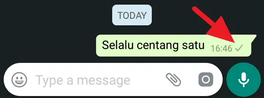 cara mengetahui wa diblokir, whatsapp diblokir, ciri wa sedang diblokir, arti centang satu whatsapp