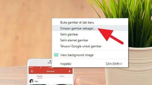 Cara Download Gambar Background Website yang Tidak Bisa Didownload 5 Gambar Background Website 3 Cara Download Gambar Background Website yang Tidak Bisa Didownload 5 Gambar Background Website 3