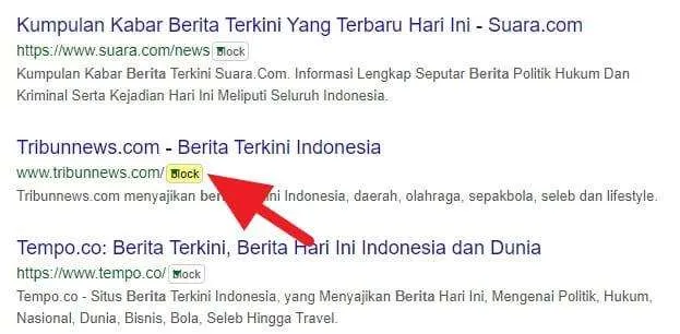 Memblokir Website Hasil Pencarian Google 5 3 Cara Blokir Situs Tertentu dari Hasil Pencarian Google 12 Memblokir Website Hasil Pencarian Google 5