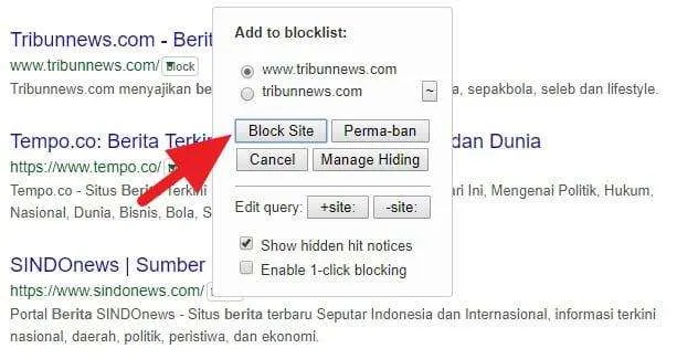 Memblokir Website Hasil Pencarian Google 6 3 Cara Blokir Situs Tertentu dari Hasil Pencarian Google 13 Memblokir Website Hasil Pencarian Google 6
