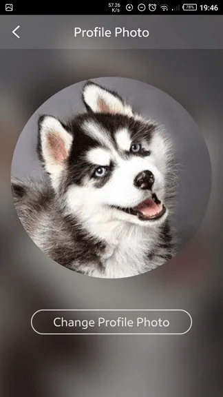 Ganti Foto Profil Joox 2 Cara Ganti Foto Profil 'Joox' Sesuai Keinginan 7 Ganti Foto Profil Joox 2