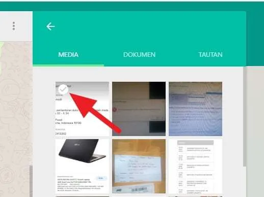 centang Cara Download Banyak Foto Sekaligus di WhatsApp Web 6 centang