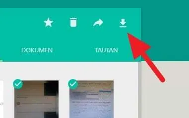 ikon download Cara Download Banyak Foto Sekaligus di WhatsApp Web 8 ikon download