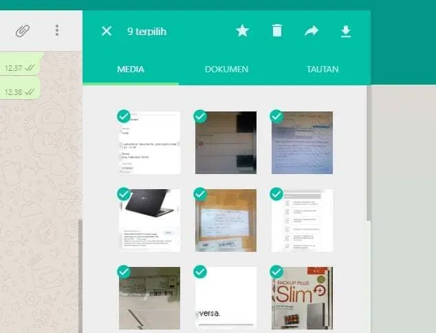 pilih gambar Cara Download Banyak Foto Sekaligus di WhatsApp Web 7 pilih gambar