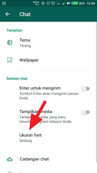 Cara Perbesar Ukuran Huruf di WhatsApp 5 Ukuran font Cara Perbesar Ukuran Huruf di WhatsApp 5 Ukuran font