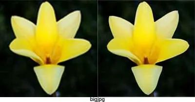 bigjpg 5 Situs Terbaik untuk Memperbesar Resolusi Foto Tanpa Pecah 4 bigjpg