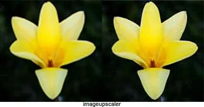 imageupscaler 5 Situs Terbaik untuk Memperbesar Resolusi Foto Tanpa Pecah 6 imageupscaler
