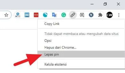 Cara Instal Ekstensi di Chrome PC/Laptop 12 Lepas pin Cara Instal Ekstensi di Chrome PC/Laptop 3 Lepas pin