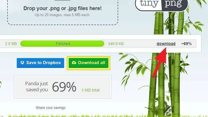 Download foto Cara Memperkecil Ukuran Foto Tanpa Mengurangi Kualitasnya 6 Download foto