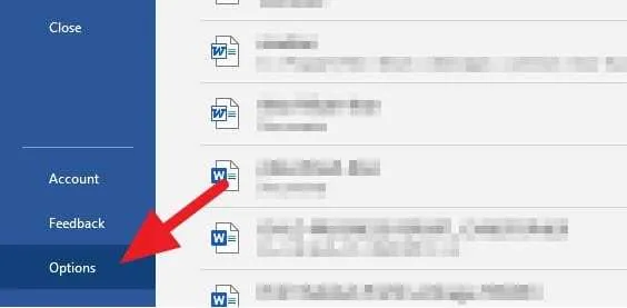 Options 2 Cara Menghilangkan Garis Bawah Merah di Microsoft Word 5 Options 2