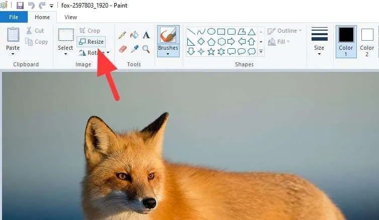 3 Cara Mengubah Resolusi Foto di Laptop Tanpa Instal Aplikasi 5 resize 1 3 Cara Mengubah Resolusi Foto di Laptop Tanpa Instal Aplikasi 5 resize 1