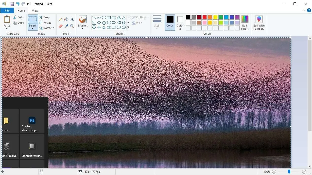 screenshot paint 3 Cara Melihat Hasil Screenshot di PC/Laptop Windows 14 screenshot paint