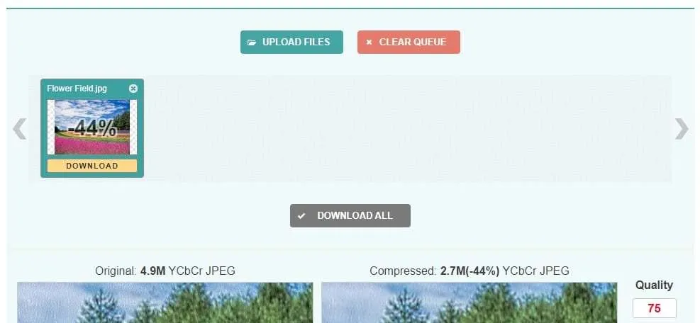 5 Cara Kompres Ukuran Foto Online Dengan Kualitas Terbaik 5 image compressor 5 Cara Kompres Ukuran Foto Online Dengan Kualitas Terbaik 5 image compressor