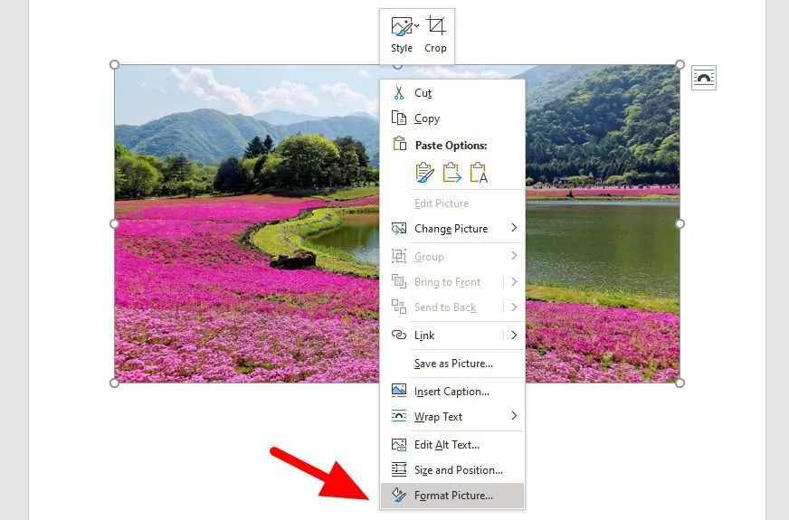 format picture 1 Cara Membuat Gambar Menjadi Transparan di Ms. Word 5 format picture 1