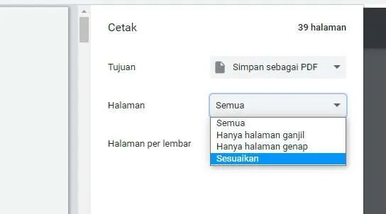 Cara Menghapus Halaman PDF dengan Chrome PC/Laptop 6 halaman sesuaikan Cara Menghapus Halaman PDF dengan Chrome PC/Laptop 6 halaman sesuaikan
