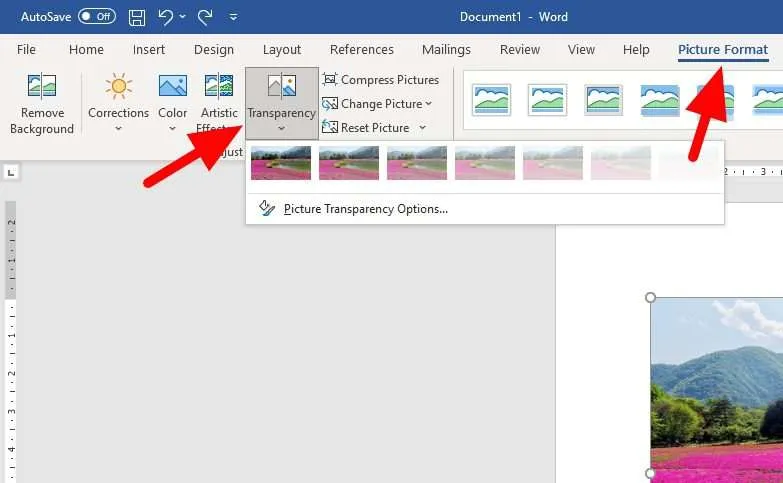 picture format transparency 1 Cara Membuat Gambar Menjadi Transparan di Ms. Word 9 picture format transparency 1