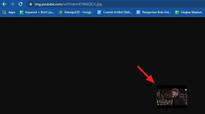 Cara Download Gambar YouTube Tanpa Menggunakan Aplikasi 11 hasil pilihan thumbnail nomor satu Cara Download Gambar YouTube Tanpa Menggunakan Aplikasi 9 hasil pilihan thumbnail nomor satu
