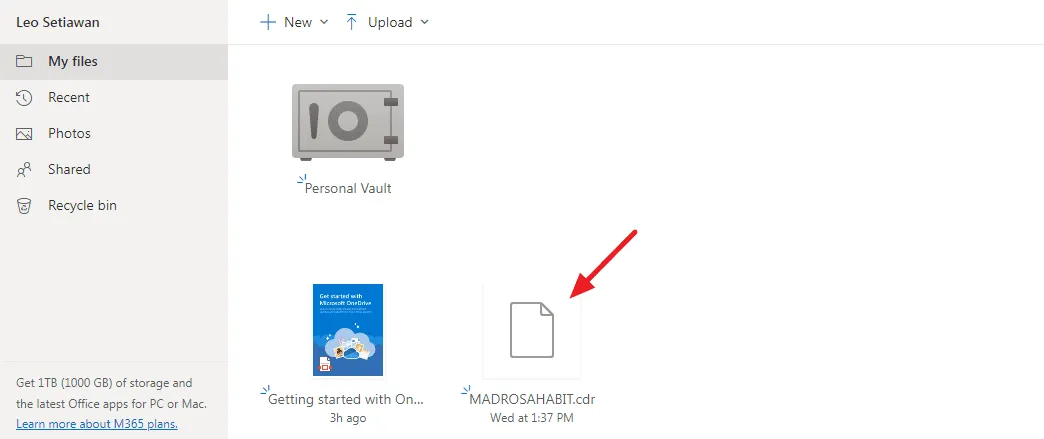 my files 1 3 Cara Mengirim File Besar Lewat Email dengan Mudah 18 my files 1