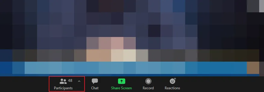 partisipan 2 Cara Ganti Nama di Zoom PC atau Laptop dengan Mudah 5 partisipan