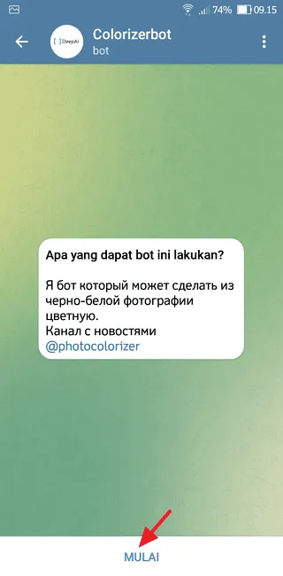 Cara Ubah Foto Hitam Putih Menjadi Berwarna di Telegram 5 Screenshot 20220716 091519 Cara Ubah Foto Hitam Putih Menjadi Berwarna di Telegram 3 Screenshot 20220716 091519