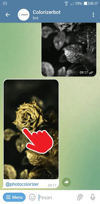 Cara Ubah Foto Hitam Putih Menjadi Berwarna di Telegram 10 Screenshot 20220716 091726 Cara Ubah Foto Hitam Putih Menjadi Berwarna di Telegram 8 Screenshot 20220716 091726