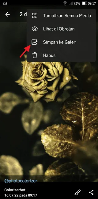 Cara Ubah Foto Hitam Putih Menjadi Berwarna di Telegram 12 Screenshot 20220716 091751 Cara Ubah Foto Hitam Putih Menjadi Berwarna di Telegram 10 Screenshot 20220716 091751