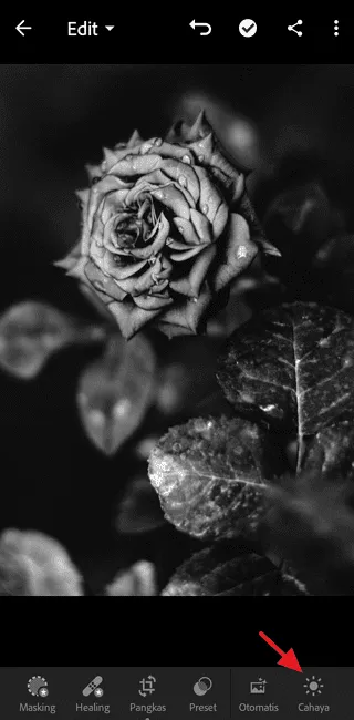 Cara Edit Foto di Adobe Lightroom Mobile untuk Pemula 15 Screenshot 20220717 130549 Cara Edit Foto di Adobe Lightroom Mobile untuk Pemula 13 Screenshot 20220717 130549