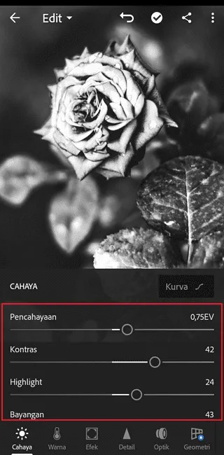 Cara Edit Foto di Adobe Lightroom Mobile untuk Pemula 16 Screenshot 20220717 130826 Cara Edit Foto di Adobe Lightroom Mobile untuk Pemula 14 Screenshot 20220717 130826