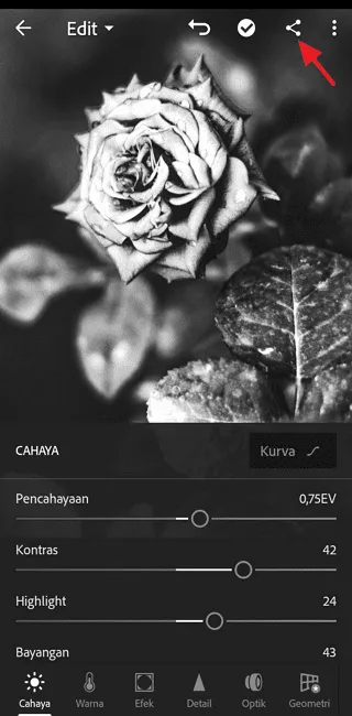 Cara Edit Foto di Adobe Lightroom Mobile untuk Pemula 17 Screenshot 20220717 130828 Cara Edit Foto di Adobe Lightroom Mobile untuk Pemula 15 Screenshot 20220717 130828