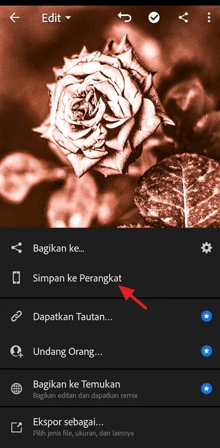 Cara Edit Foto di Adobe Lightroom Mobile untuk Pemula 18 Screenshot 20220717 131221 Cara Edit Foto di Adobe Lightroom Mobile untuk Pemula 16 Screenshot 20220717 131221