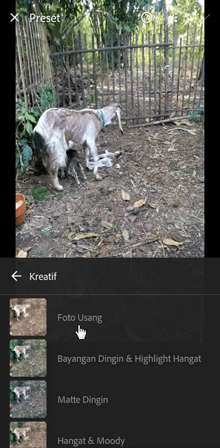 Screenshot 20220721 171818 Cara Menggunakan Preset Lightroom Mobile dengan Mudah 8 Screenshot 20220721 171818