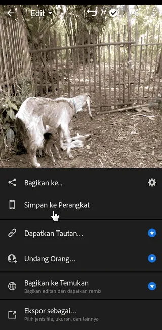 Screenshot 20220721 172015 Cara Menggunakan Preset Lightroom Mobile dengan Mudah 11 Screenshot 20220721 172015