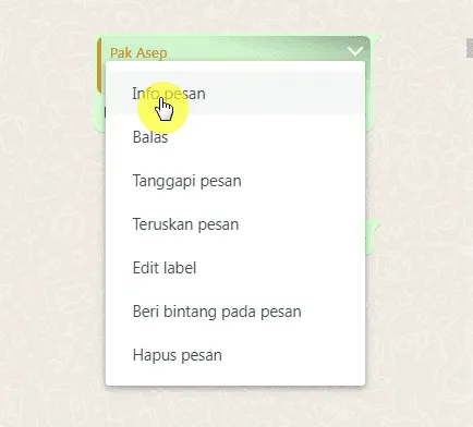 Cara Mengetahui Pembaca Pesan Grup di WhatsApp Web 4 info pesan Cara Mengetahui Pembaca Pesan Grup di WhatsApp Web 2 info pesan