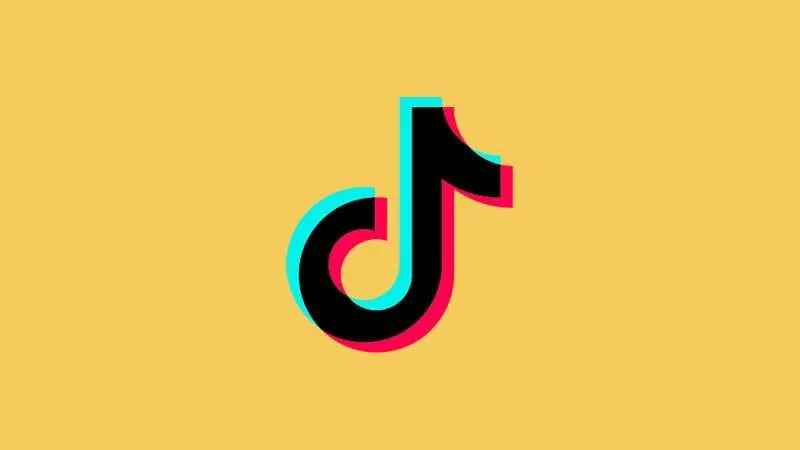 cara download video tiktok pc 4 Situs Gratis Untuk Download Video TikTok di PC/Laptop 2 cara download video tiktok pc