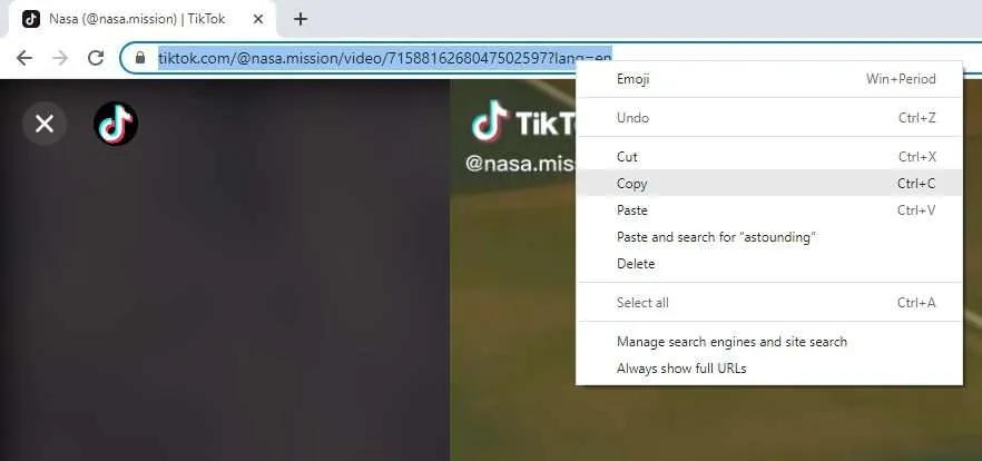 copy url Cara Download Video TikTok, YouTube, dll Kualitas HD di PC 6 copy url
