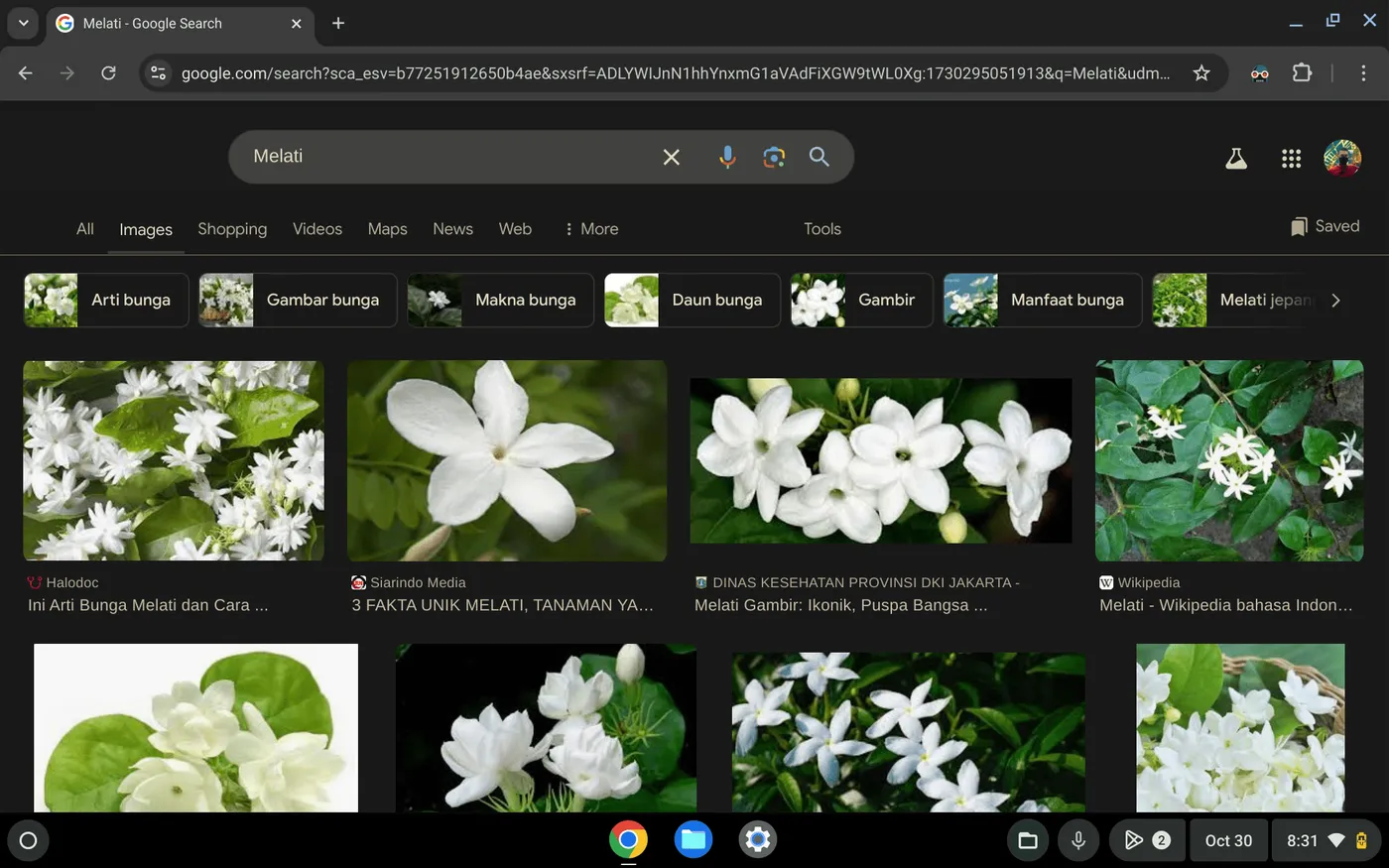 Cara Mudah Menyimpan Gambar dari Web ke Chromebook Cara Mudah Menyimpan Gambar dari Web ke Chromebook 2 Cara Mudah Menyimpan Gambar dari Web ke Chromebook