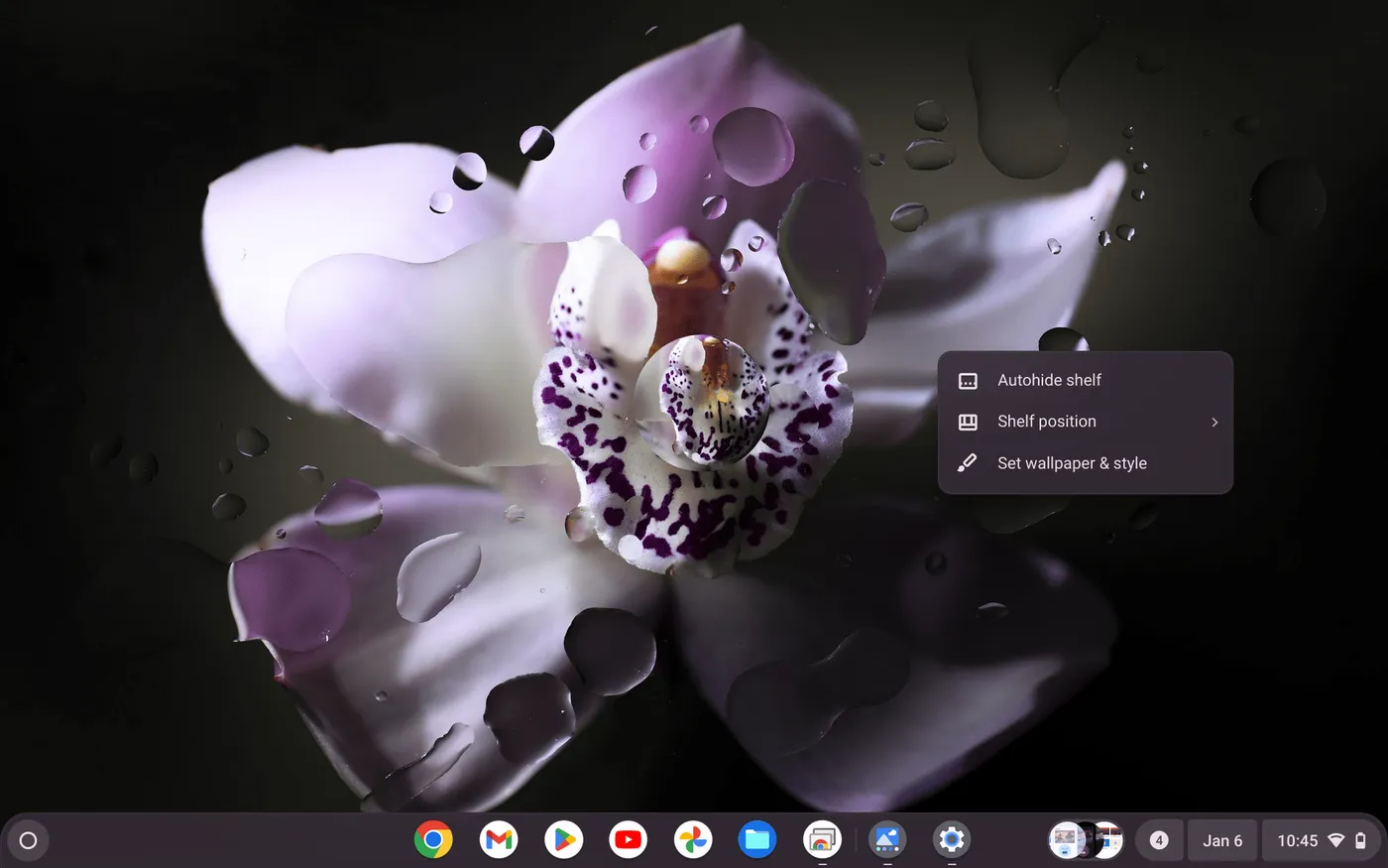 Screenshot 2025 01 06 10.45.03 PM Cara Menonaktifkan Mode Gelap di Chromebook 3 Screenshot 2025 01 06 10.45.03 PM