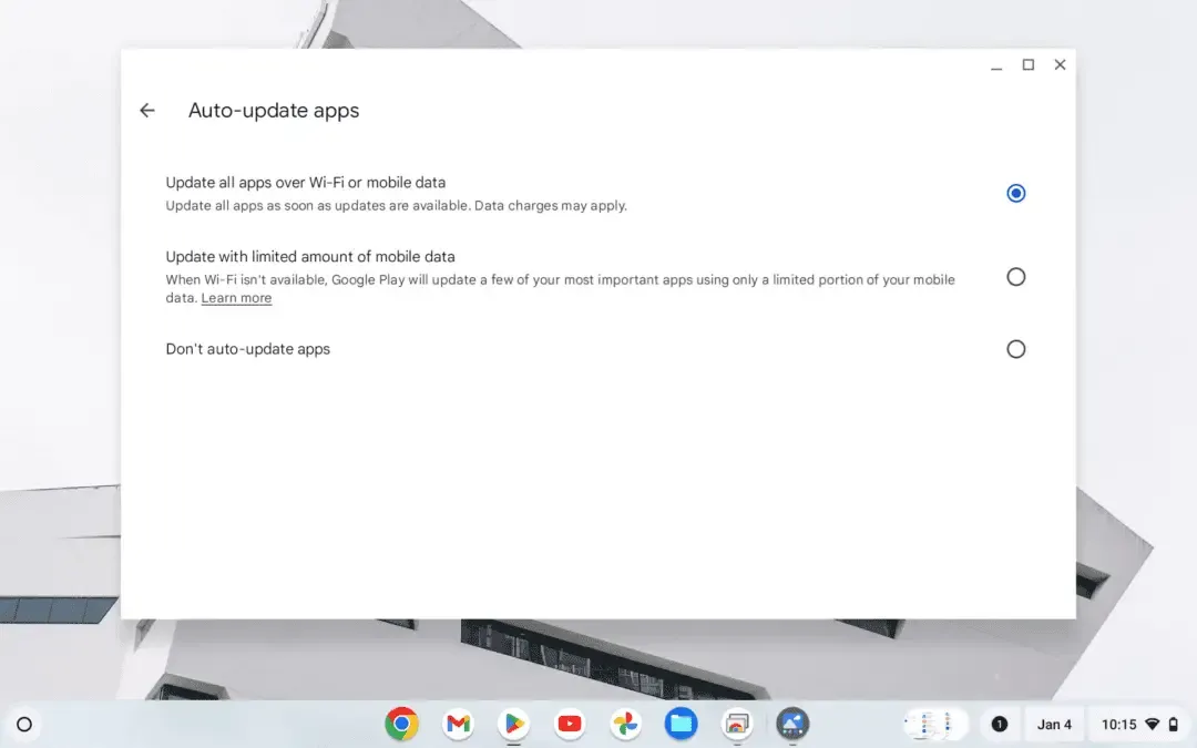 Screenshot 2025 01 04 10.15.14 PM Cara Update Aplikasi di Chromebook Dengan Mudah 4 Screenshot 2025 01 04 10.15.14 PM