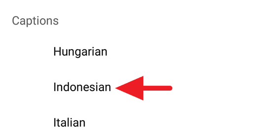 Subtitle Indonesia Youtube