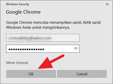 Melihat Password Tersimpan Chrome 11 3 Cara Melihat Password Tersimpan Chrome Android & PC 13 Melihat Password Tersimpan Chrome 11