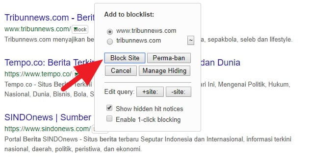 Memblokir Website Hasil Pencarian Google 6 3 Cara Blokir Situs Tertentu dari Hasil Pencarian Google 13 Memblokir Website Hasil Pencarian Google 6