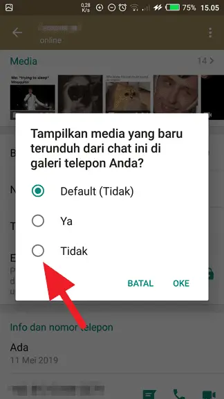 Tidak Cara Sembunyikan Foto/Video WhatsApp dari Galeri Ponsel 9 Tidak