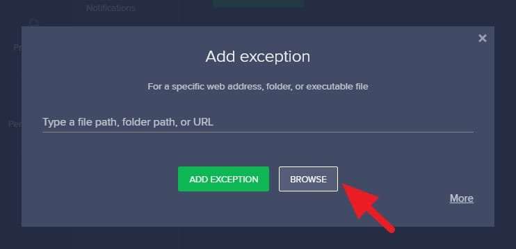 Web exception