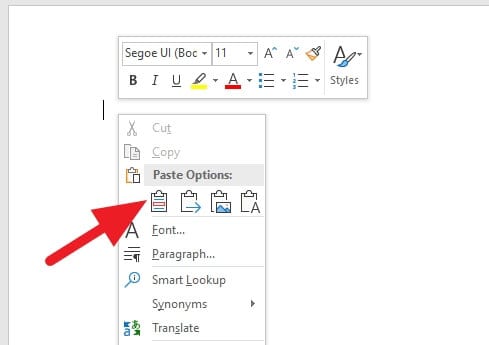 paste with formatting Cara Mengubah Urutan Halaman di Microsoft Word 4 paste with formatting