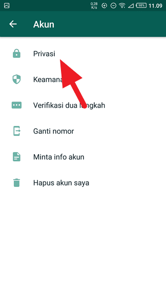 Privasi 2 4 Tips Membuat WhatsApp Selalu Online Meski Sedang Tidak Kamu Buka 5 Privasi 2