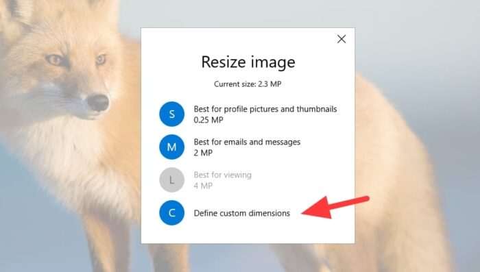 define custom dimensions 3 Cara Mengubah Resolusi Foto di Laptop Tanpa Instal Aplikasi 12 define custom dimensions