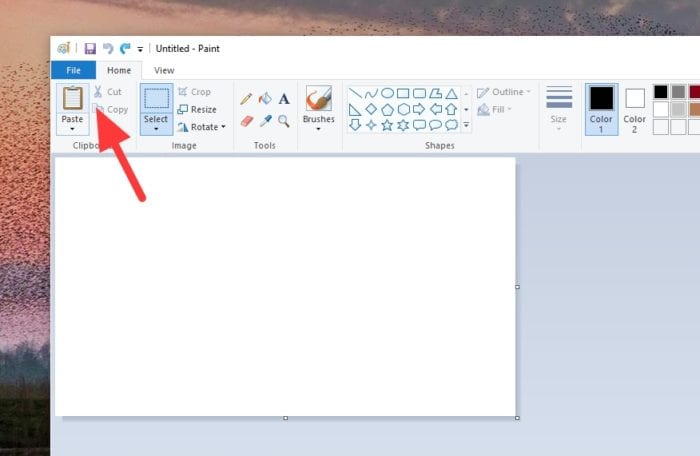 paste 1 3 Cara Melihat Hasil Screenshot di PC/Laptop Windows 3 paste 1