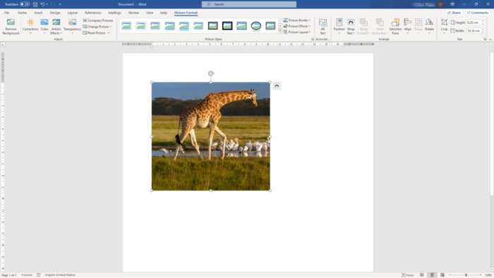 cropped picture microsoft word Cara Gampang Memotong/Crop Gambar di Microsoft Word 6 cropped picture microsoft word